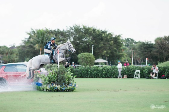 web-wellington-showcase-2