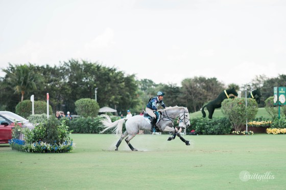 web-wellington-showcase-25