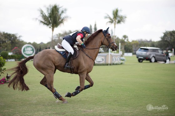 web-wellington-showcase-27