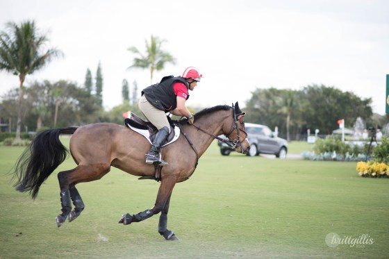 web-wellington-showcase-30