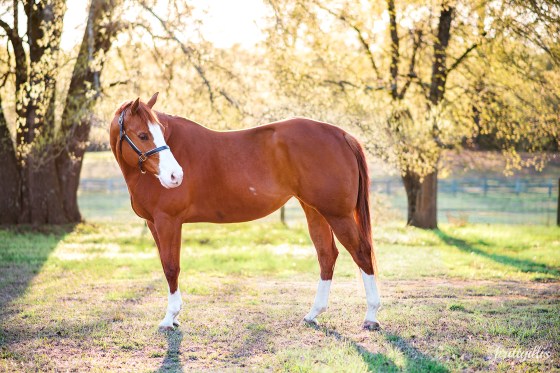 web-Kristine-Faynce-7